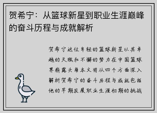 贺希宁：从篮球新星到职业生涯巅峰的奋斗历程与成就解析